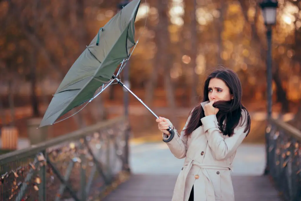 Insurance premium increases showed continued signs of moderation in the third quarter of 2024 with one glaring exception: umbrella coverage.