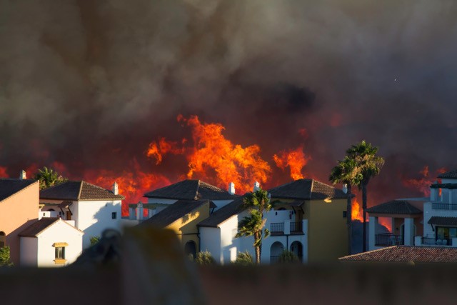 A wildfire preparedness guide for business to help owners plan for a potential catastrophe before it strikes.
